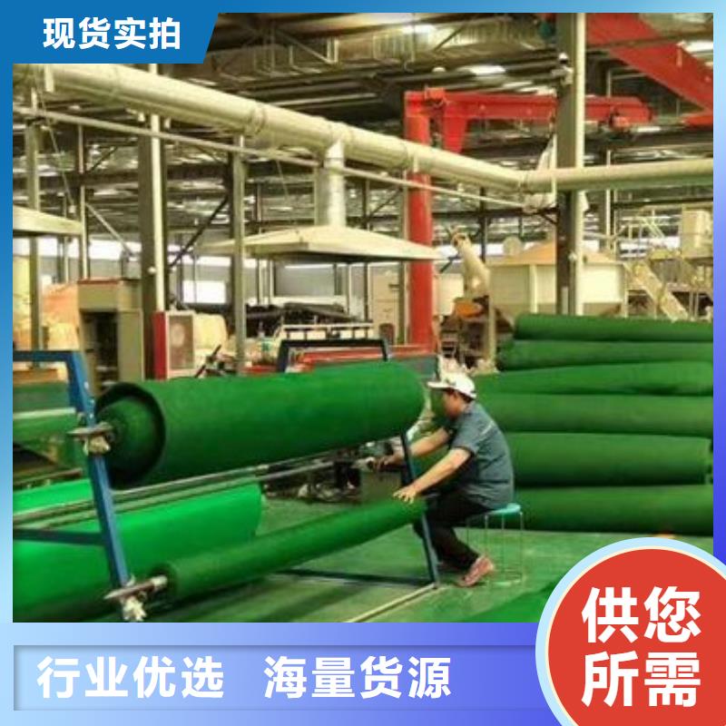 三维植被网植草格畅销当地