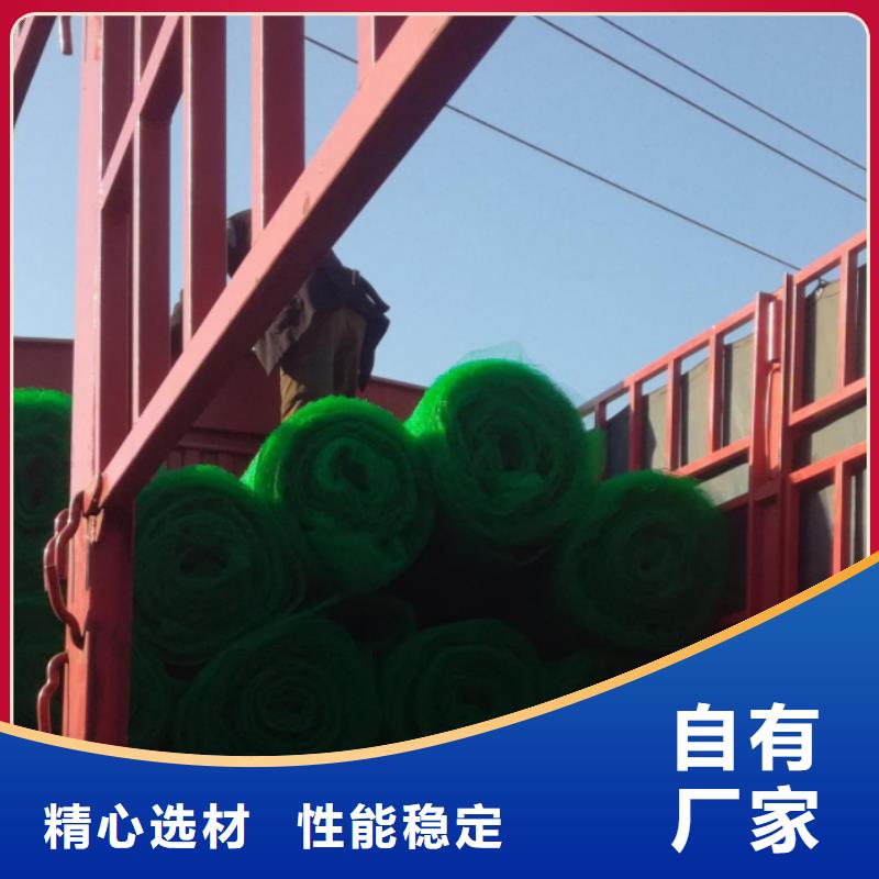 三维植被网车库虹吸排水系统真材实料加工定制