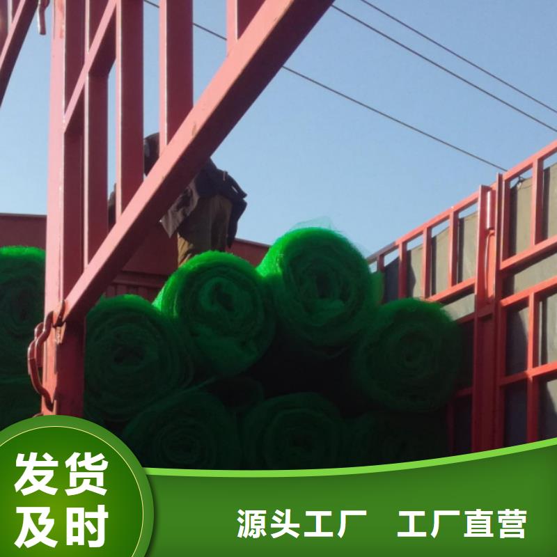 三维植被网植草格应用范围广泛