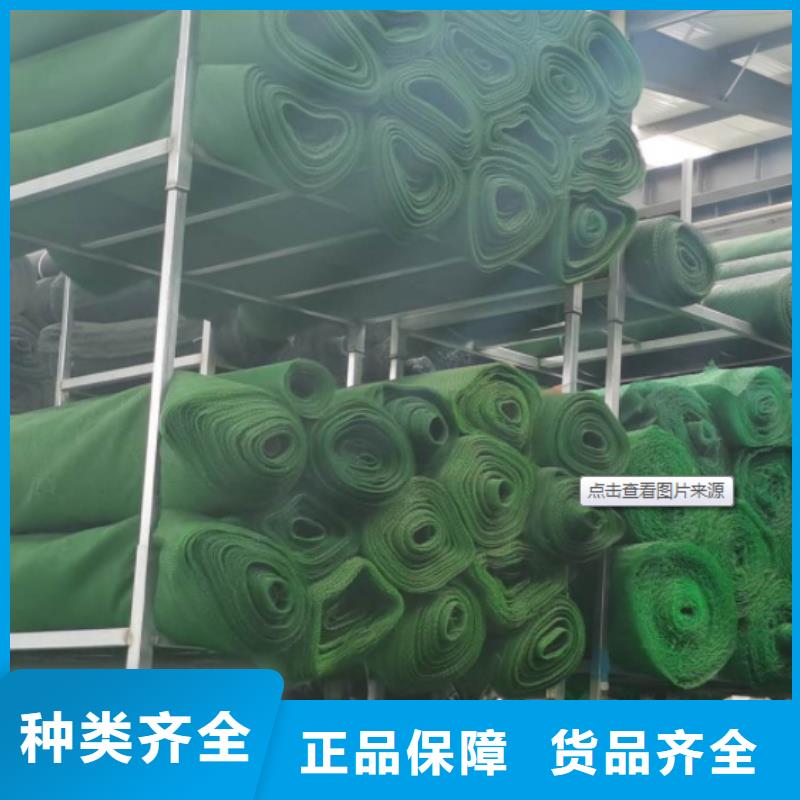 三维植被网【排水板】懂您所需
