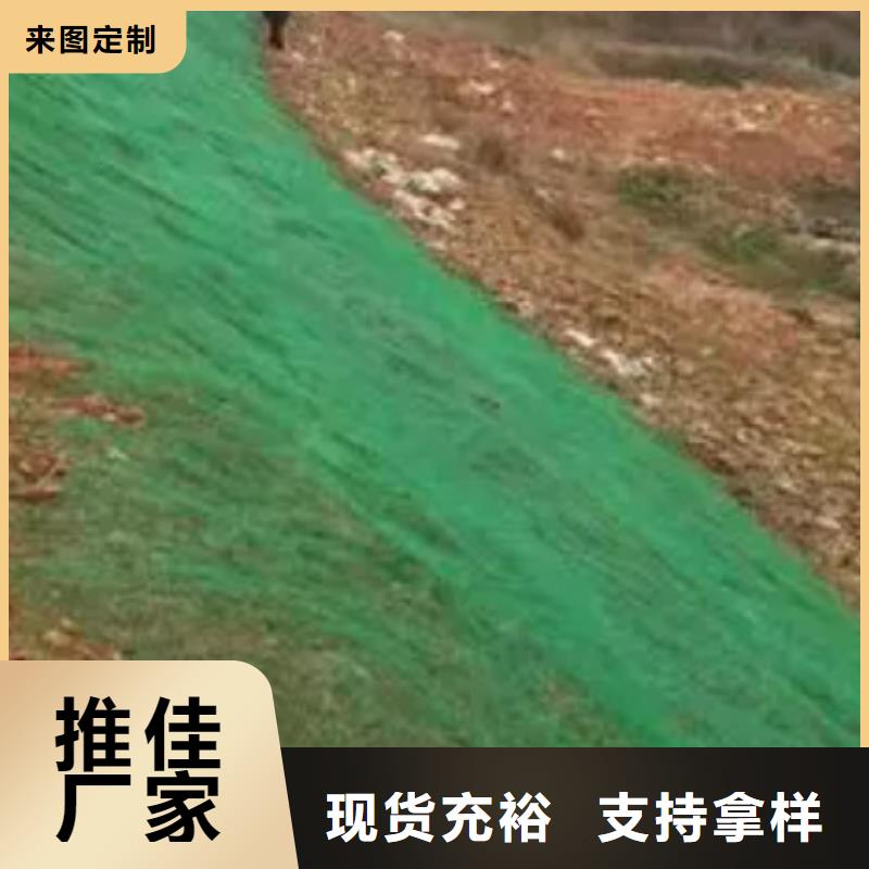 三维植被网【排水板】懂您所需