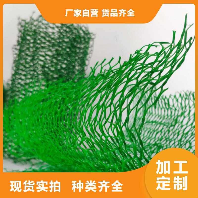 三维植被网植草格应用范围广泛