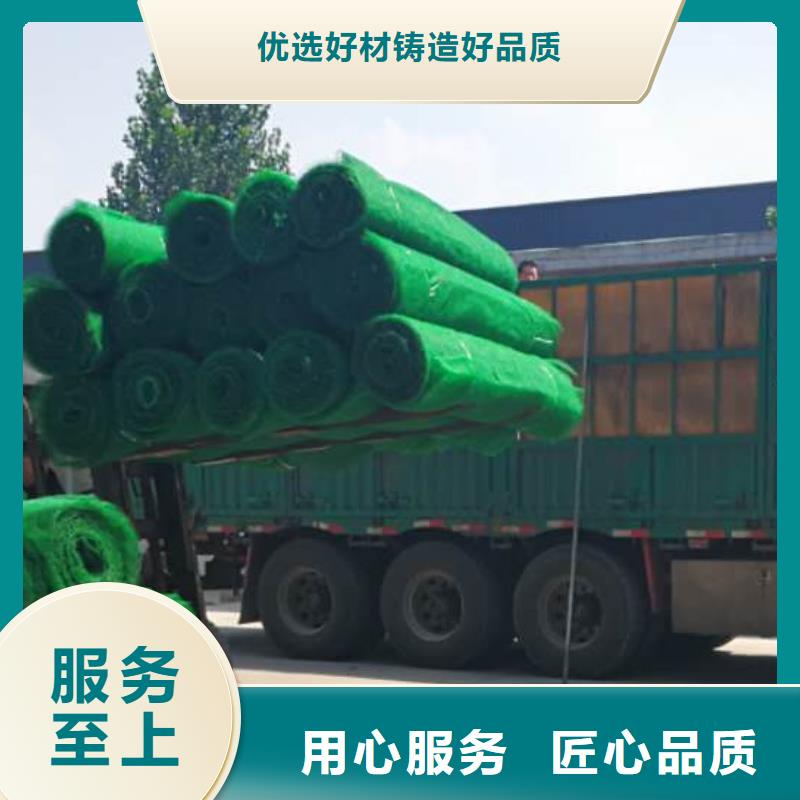三维植被网车库虹吸排水系统真材实料加工定制