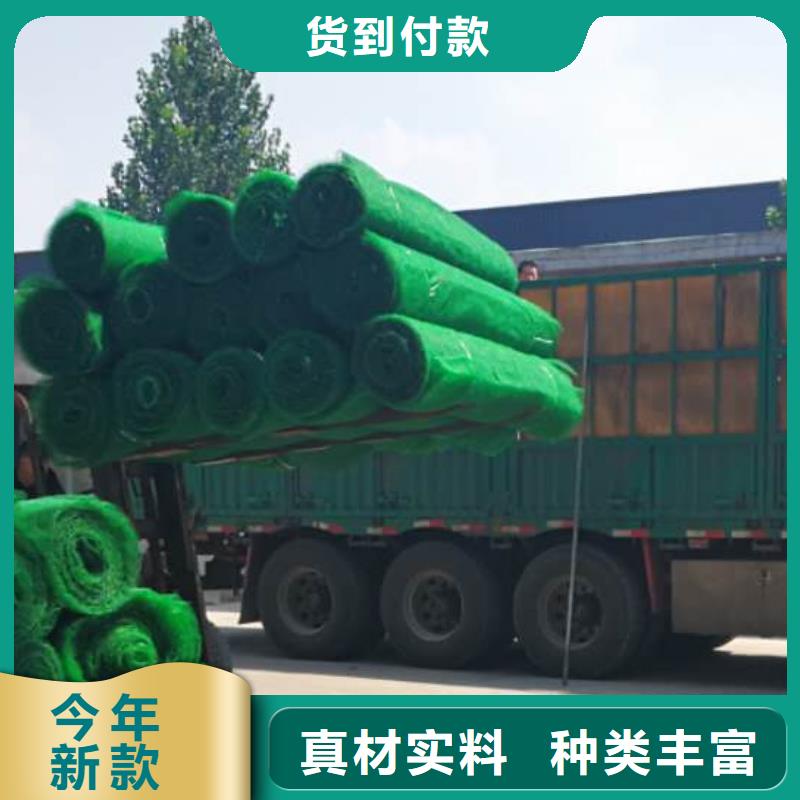 三维植被网_水泥化粪池专业生产品质保证