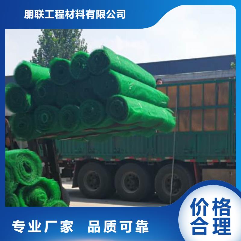 三维植被网【排水板】懂您所需