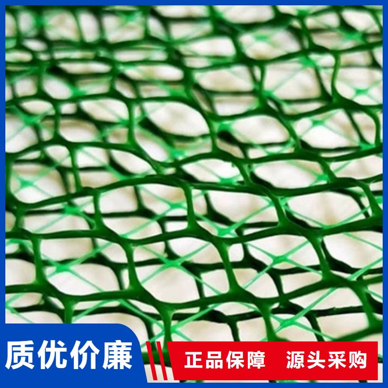 三维植被网植草格畅销当地