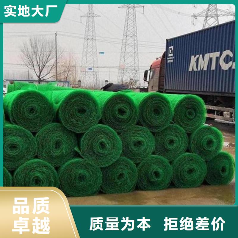 三维植被网排水板库存充足