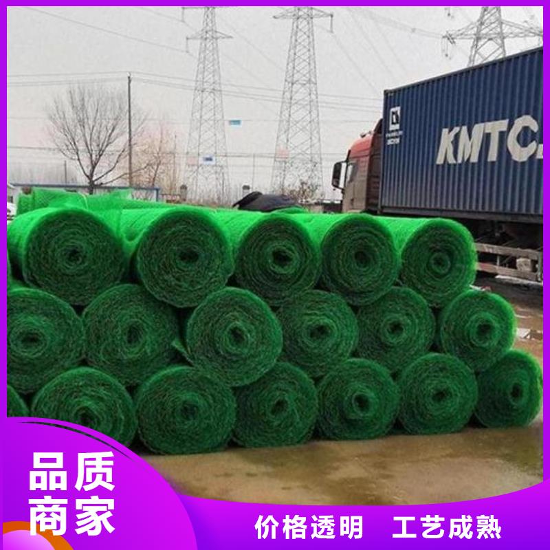 三维植被网车库虹吸排水系统真材实料加工定制