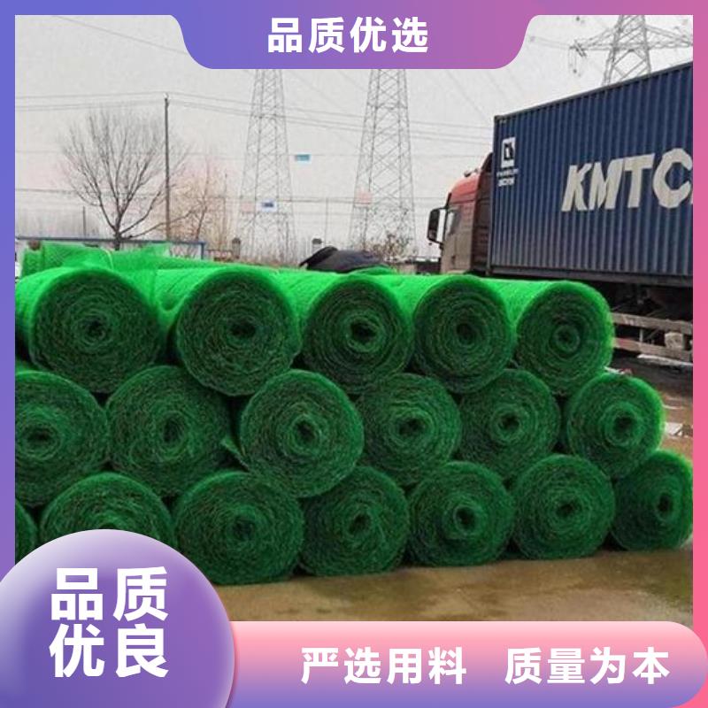 三维植被网_植草格保障