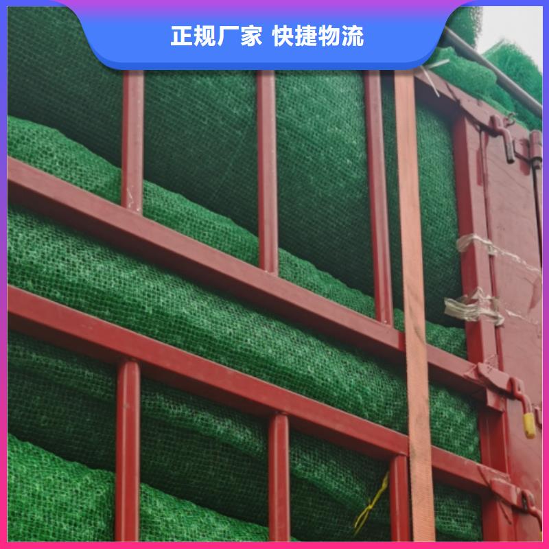 三维植被网植草格用心做品质