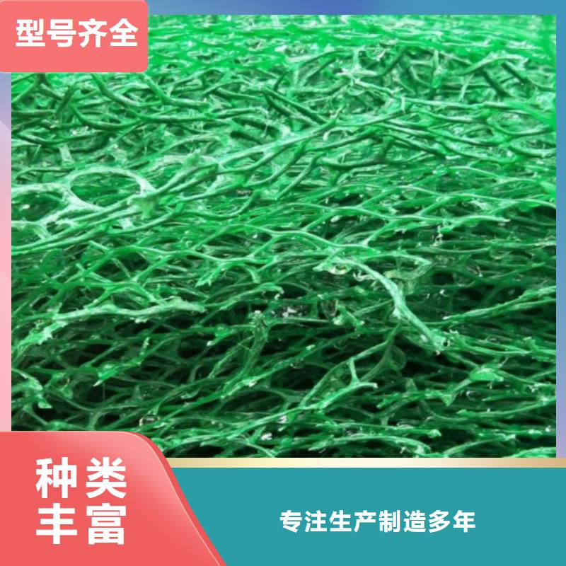 三维植被网-植草格优质货源