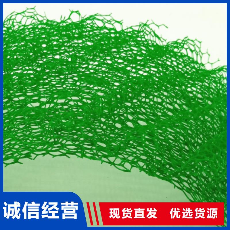 三维植被网_植草格保障