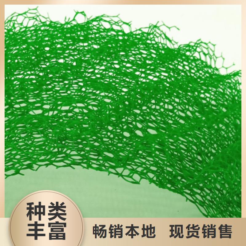 三维植被网-防护虹吸排水收集系统质量三包