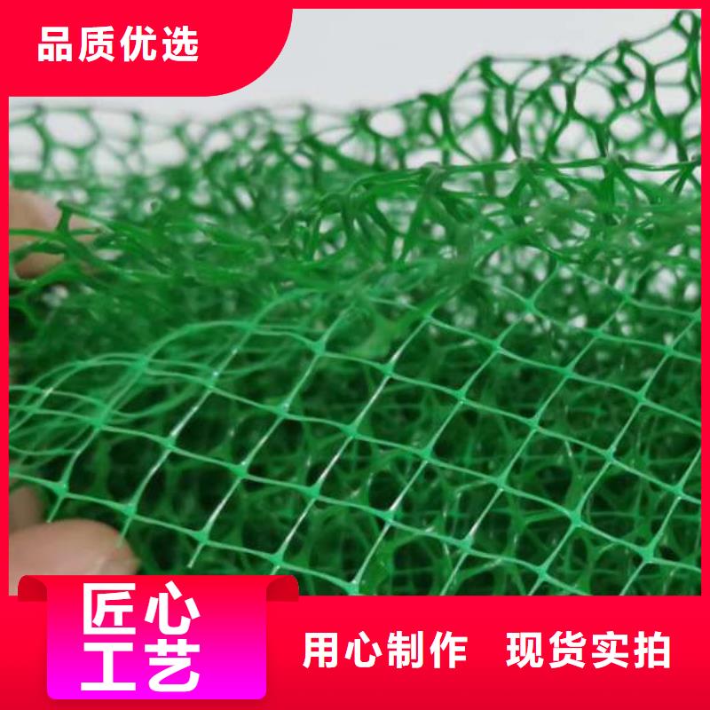三维植被网【植草格】值得信赖