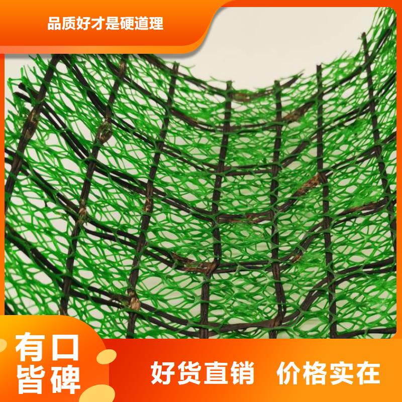 三维植被网_植草格保障