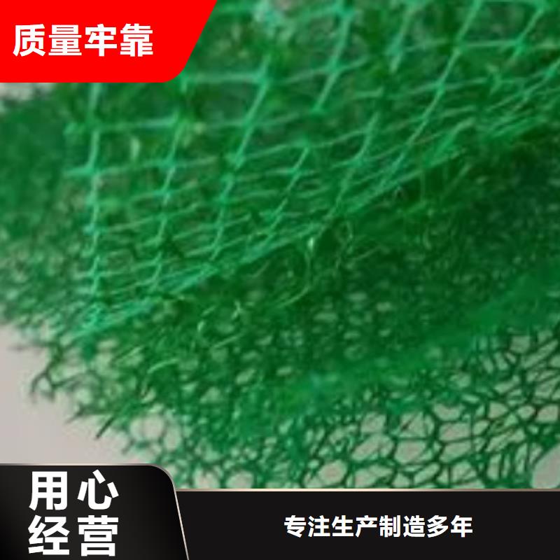 三维植被网排水板库存充足