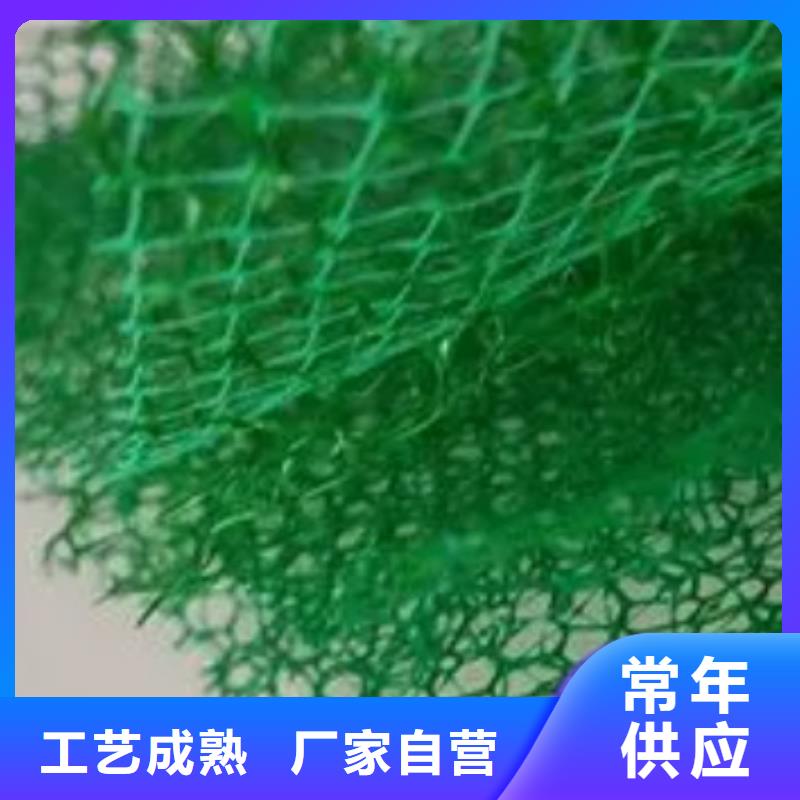 三维植被网【植草格】值得信赖