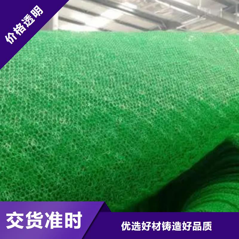 【三维植被网水泥化粪池敢与同行比服务】