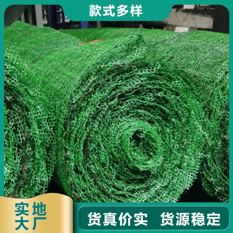 三维植被网-防护虹吸排水收集系统质量上乘