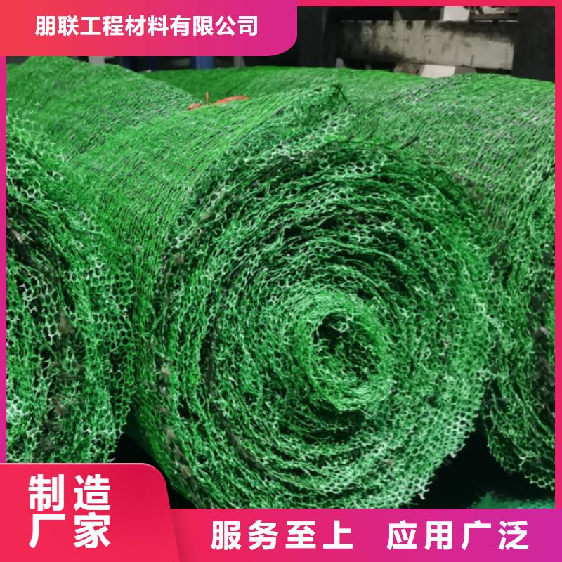 三维植被网_植草格保障