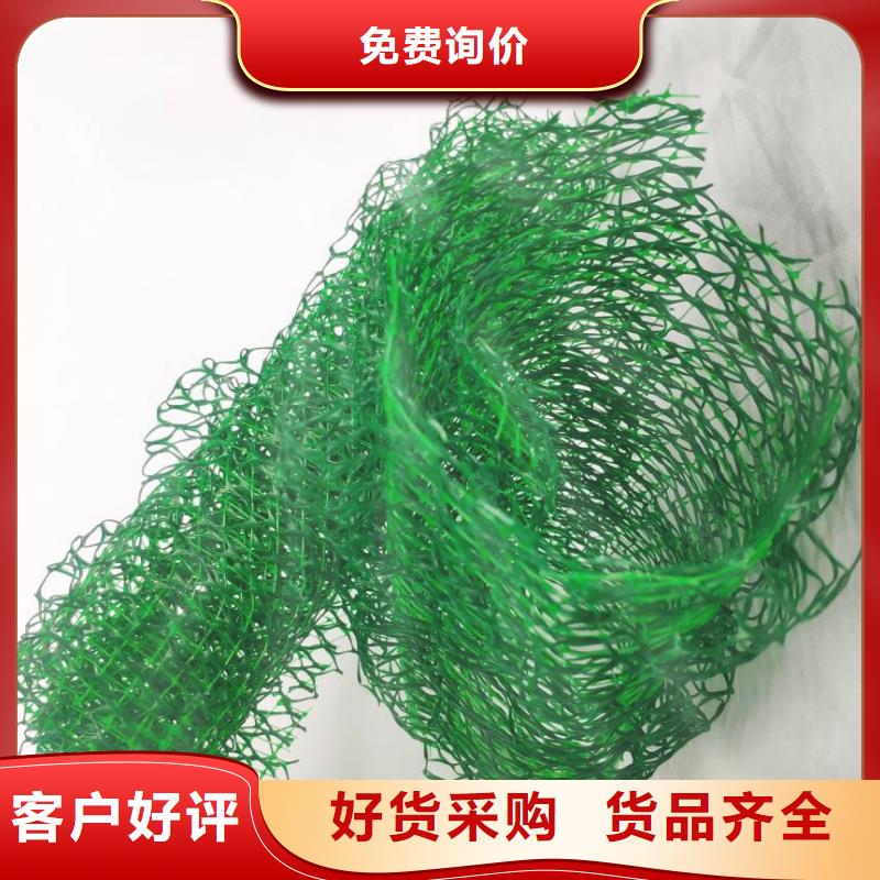 三维植被网-植草格优质货源