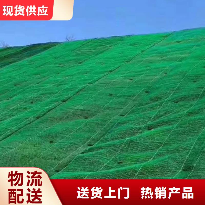 三维植被网【植草格】值得信赖