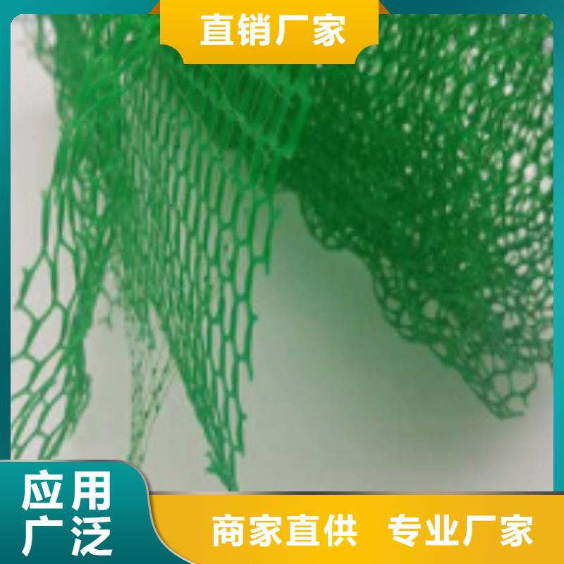 【三维植被网】防护虹吸排水收集系统精品选购