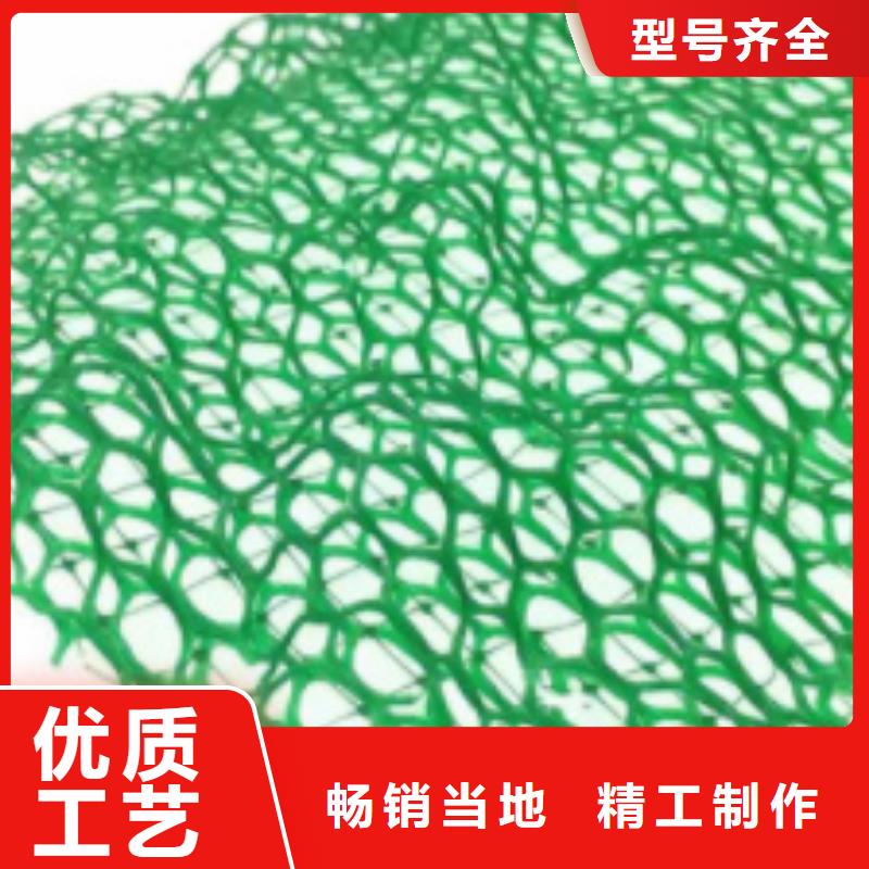 【三维植被网】防护虹吸排水收集系统精品选购
