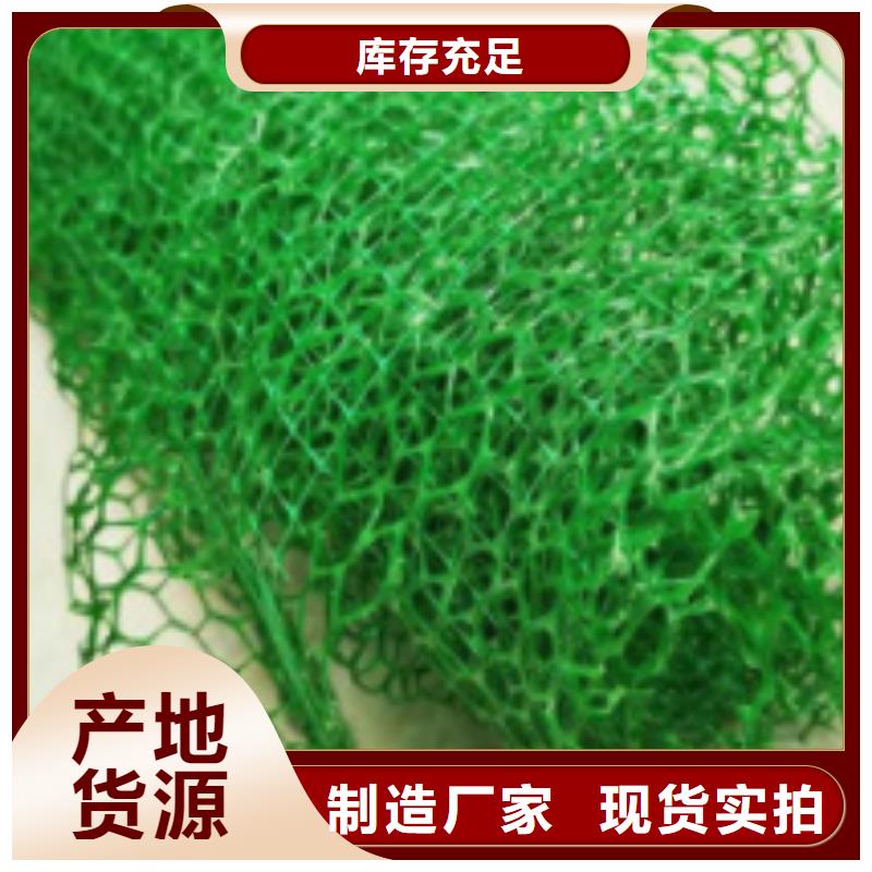 三维植被网排水板库存充足