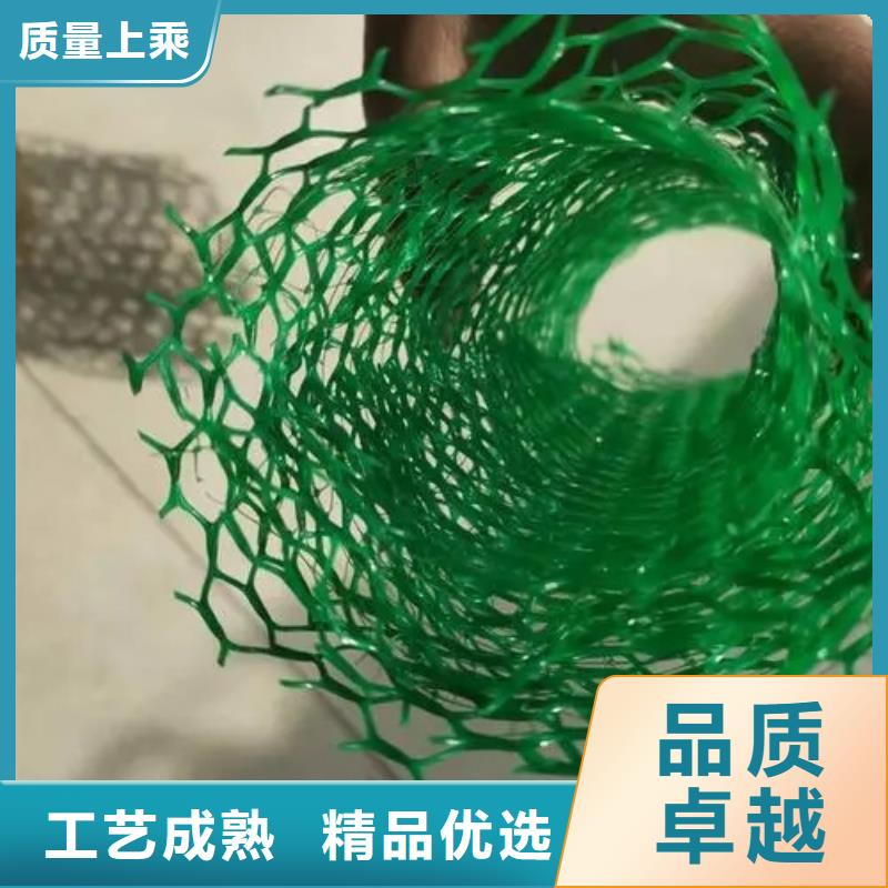 三维植被网-防护虹吸排水收集系统质量上乘
