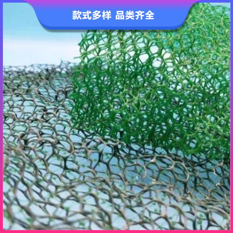 【三维植被网水泥化粪池敢与同行比服务】