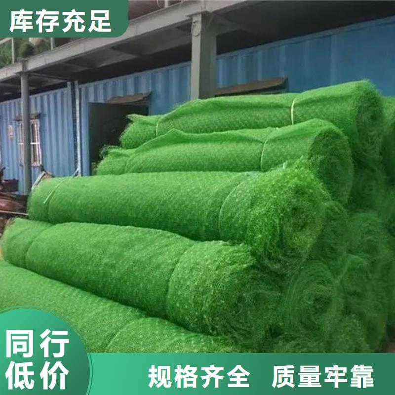 三维植被网-防护虹吸排水收集系统质量三包