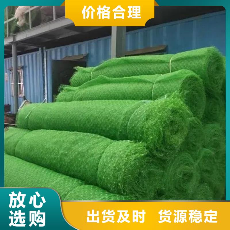 三维植被网-植草格优质货源