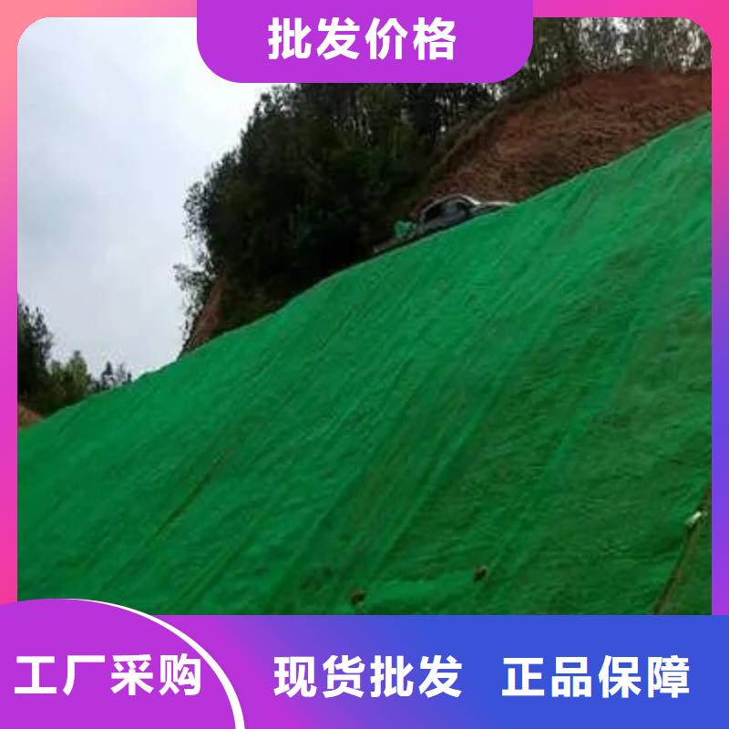 三维植被网_水泥化粪池专业生产品质保证