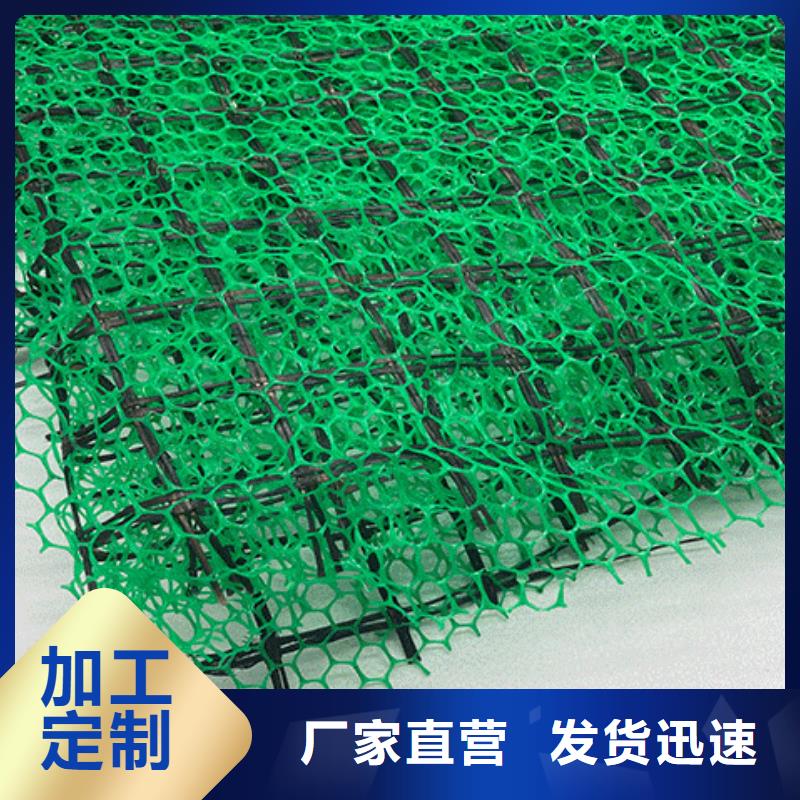 三维植被网_植草格保障