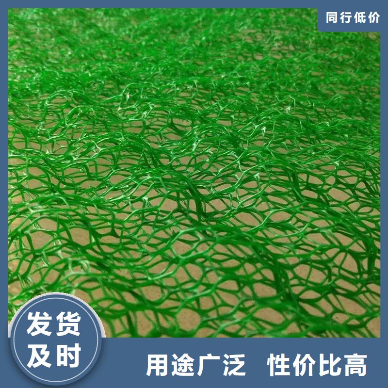 三维植被网-植草格优质货源