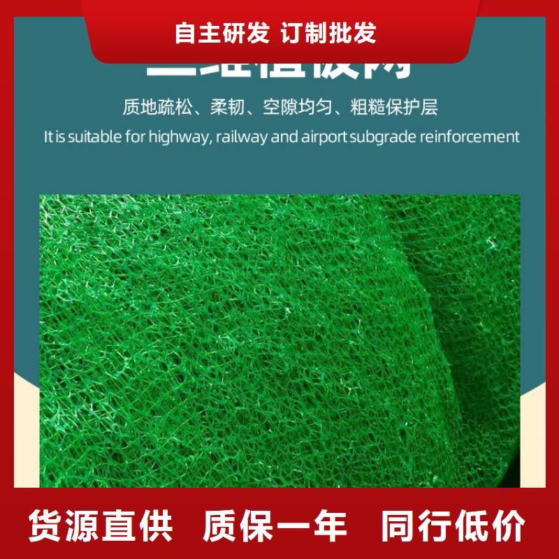 三维植被网植草格用心做品质