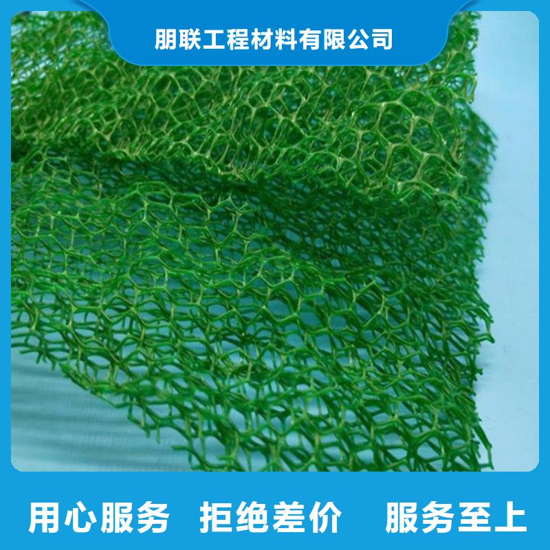 三维植被网【植草格】值得信赖