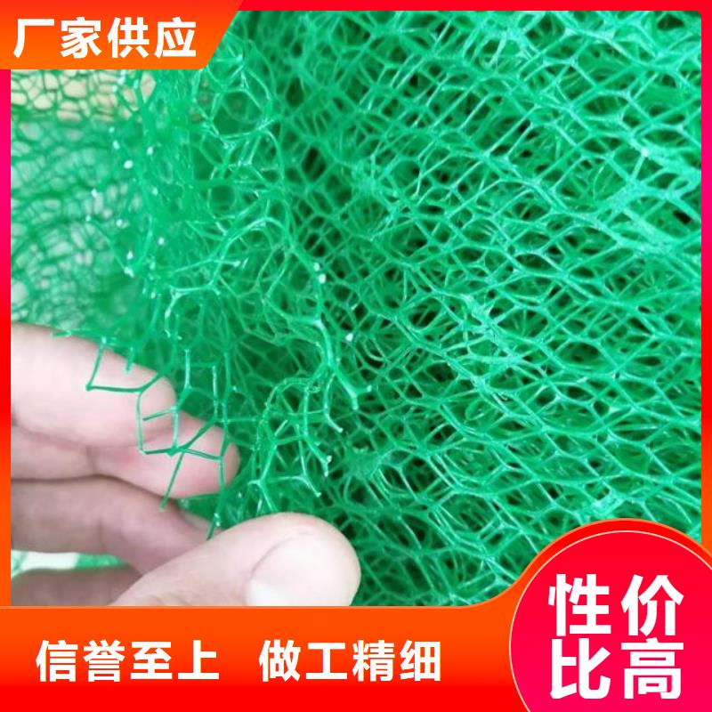 三维植被网-水泥化粪池一站式采购商