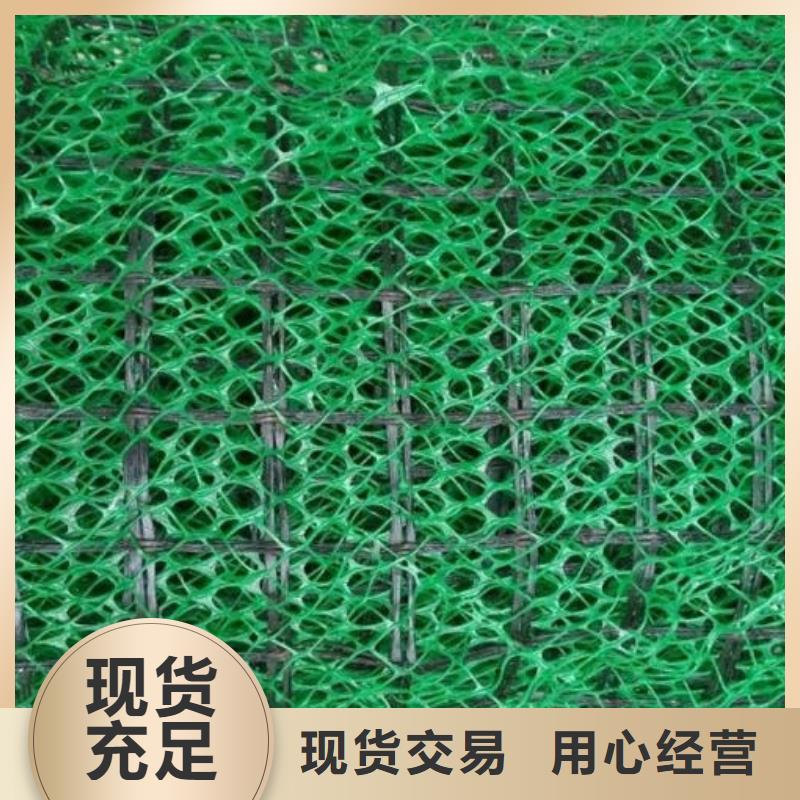 三维植被网植草格应用范围广泛