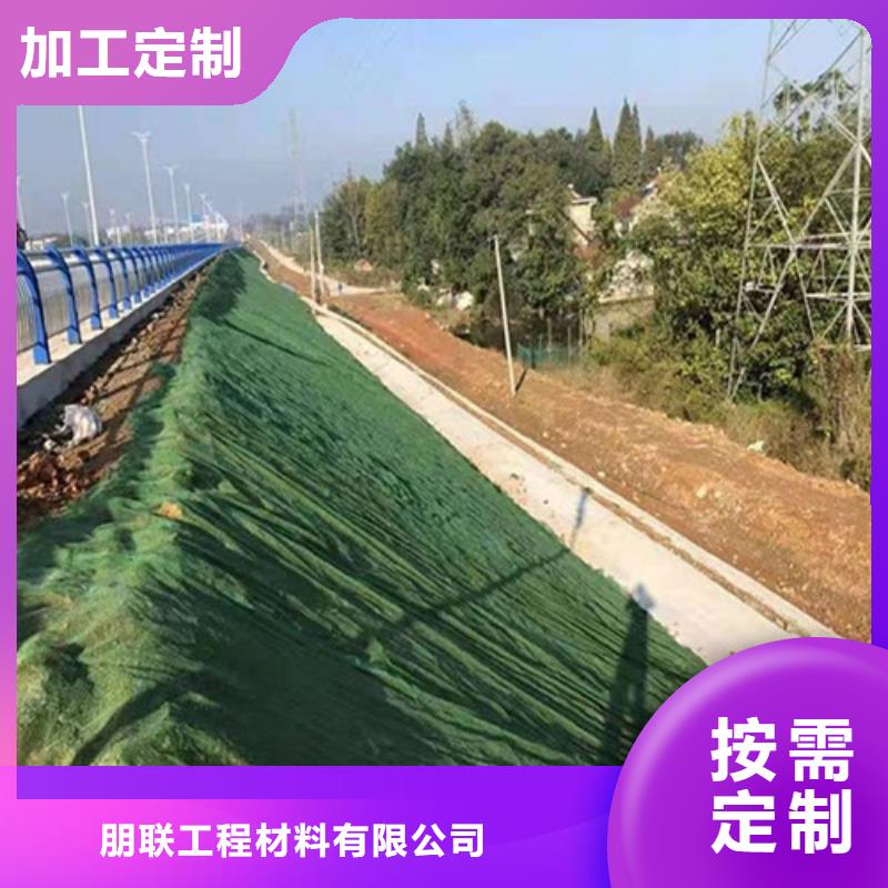 三维植被网植草格应用范围广泛