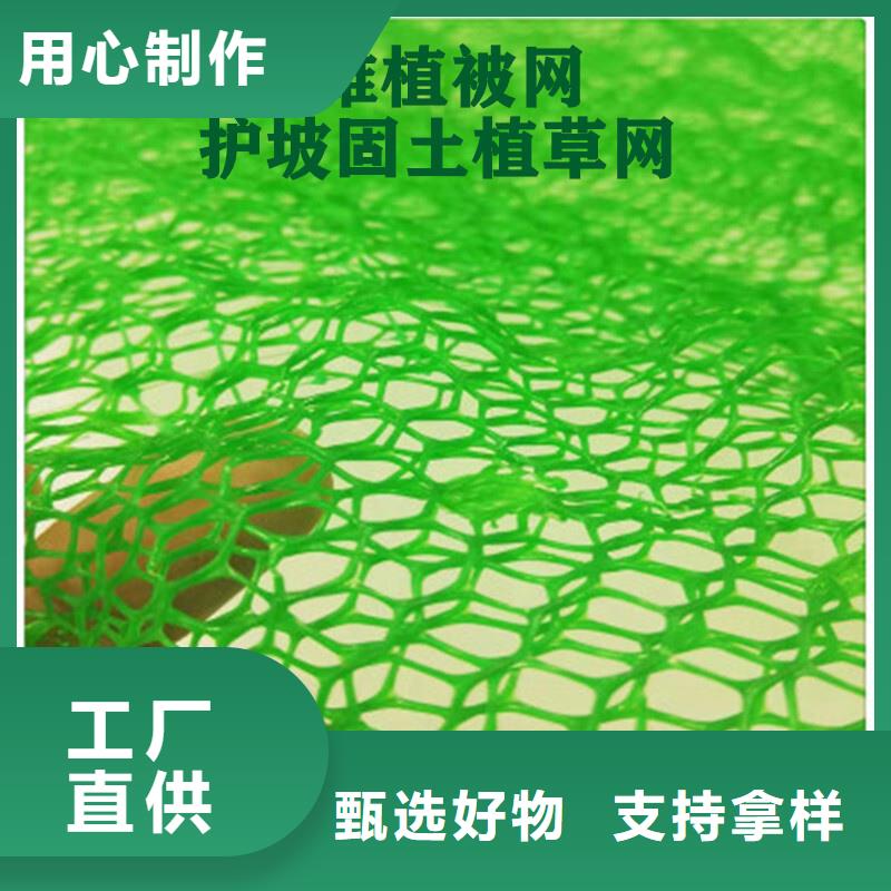 三维植被网防护虹吸排水收集系统厂家型号齐全