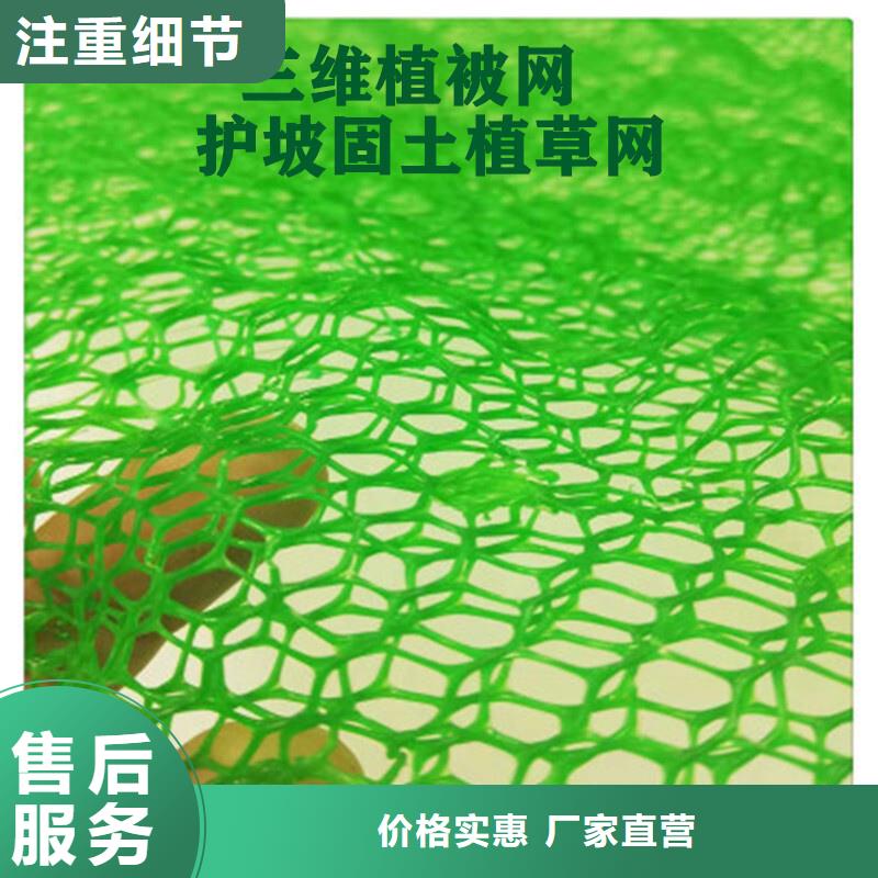 三维植被网_水泥化粪池专业生产品质保证