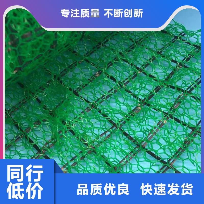 三维植被网植草格畅销当地