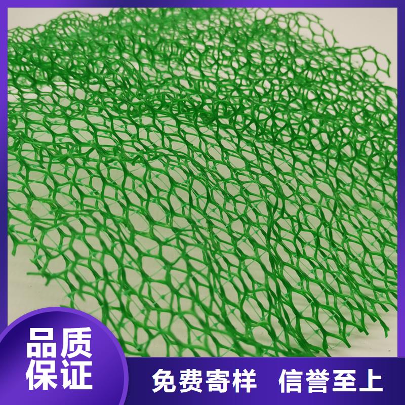 三维植被网-植草格优质货源