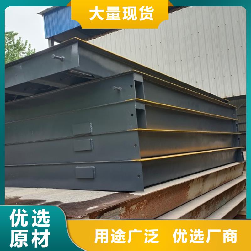 地磅 电子秤N年大品牌