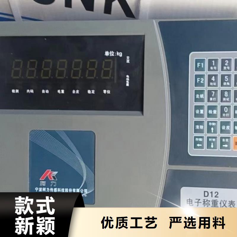 电子地磅防爆地磅专注细节更放心