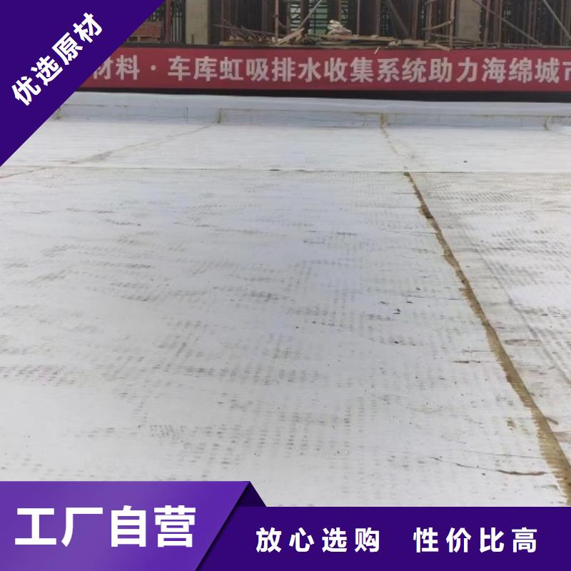 排水板土工布经验丰富质量放心