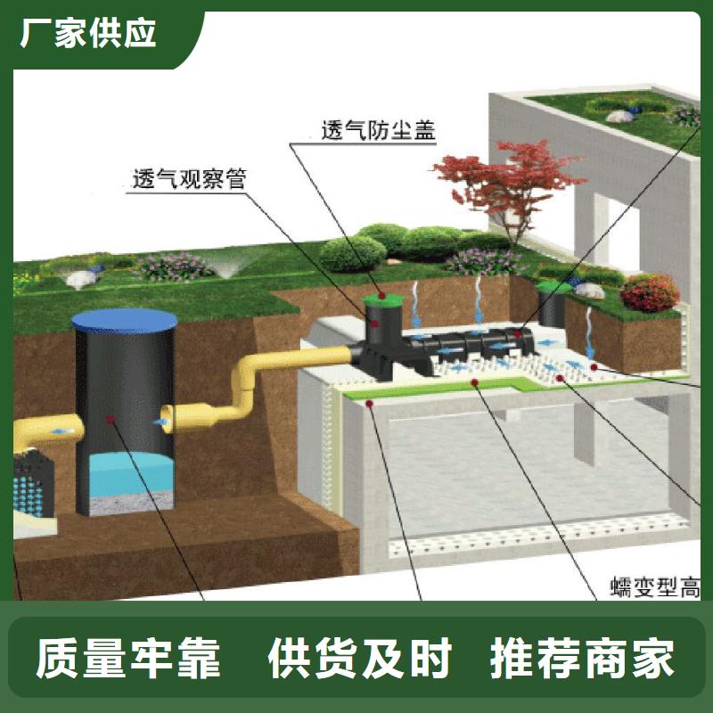 【排水板-塑料排水板快捷的物流配送】