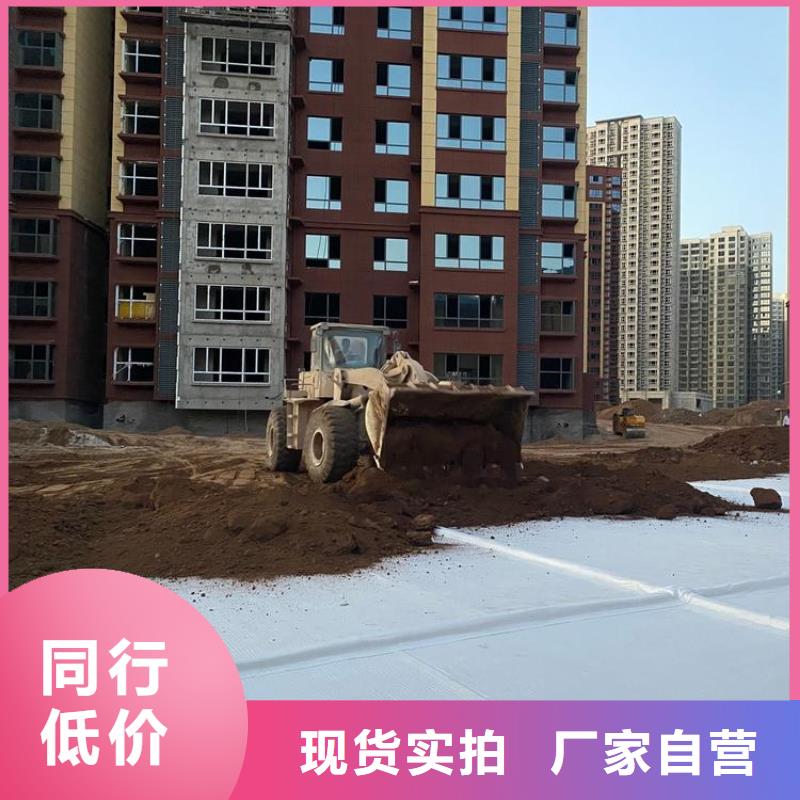 排水板种类丰富